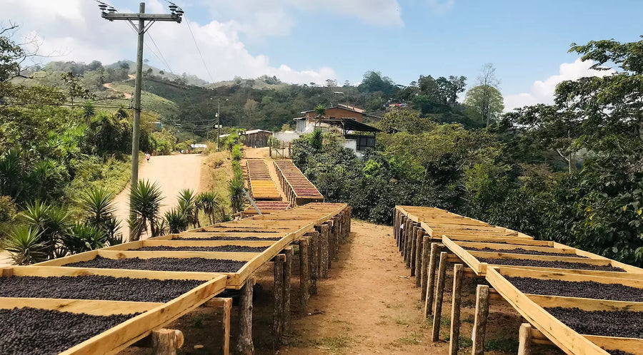 Leere Trockenbetten auf einer Finca in El Salvador